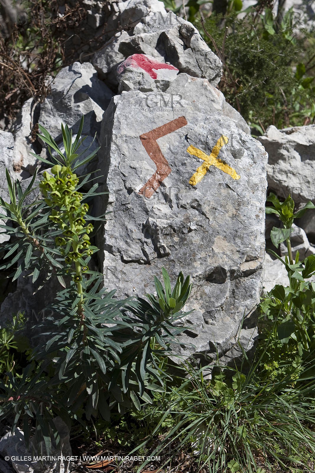 27 03 2010 - Marseille (FRA,13) - Les Calanques - Port Miou