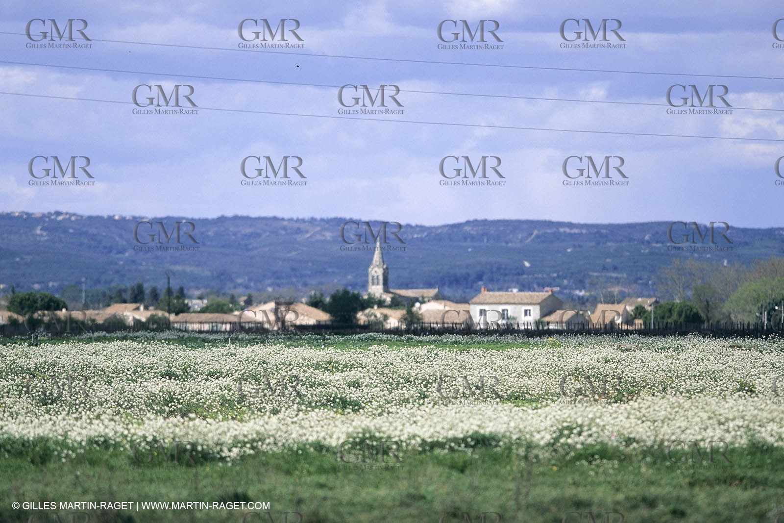 Nimes Metropole landscapes (FRA,30)