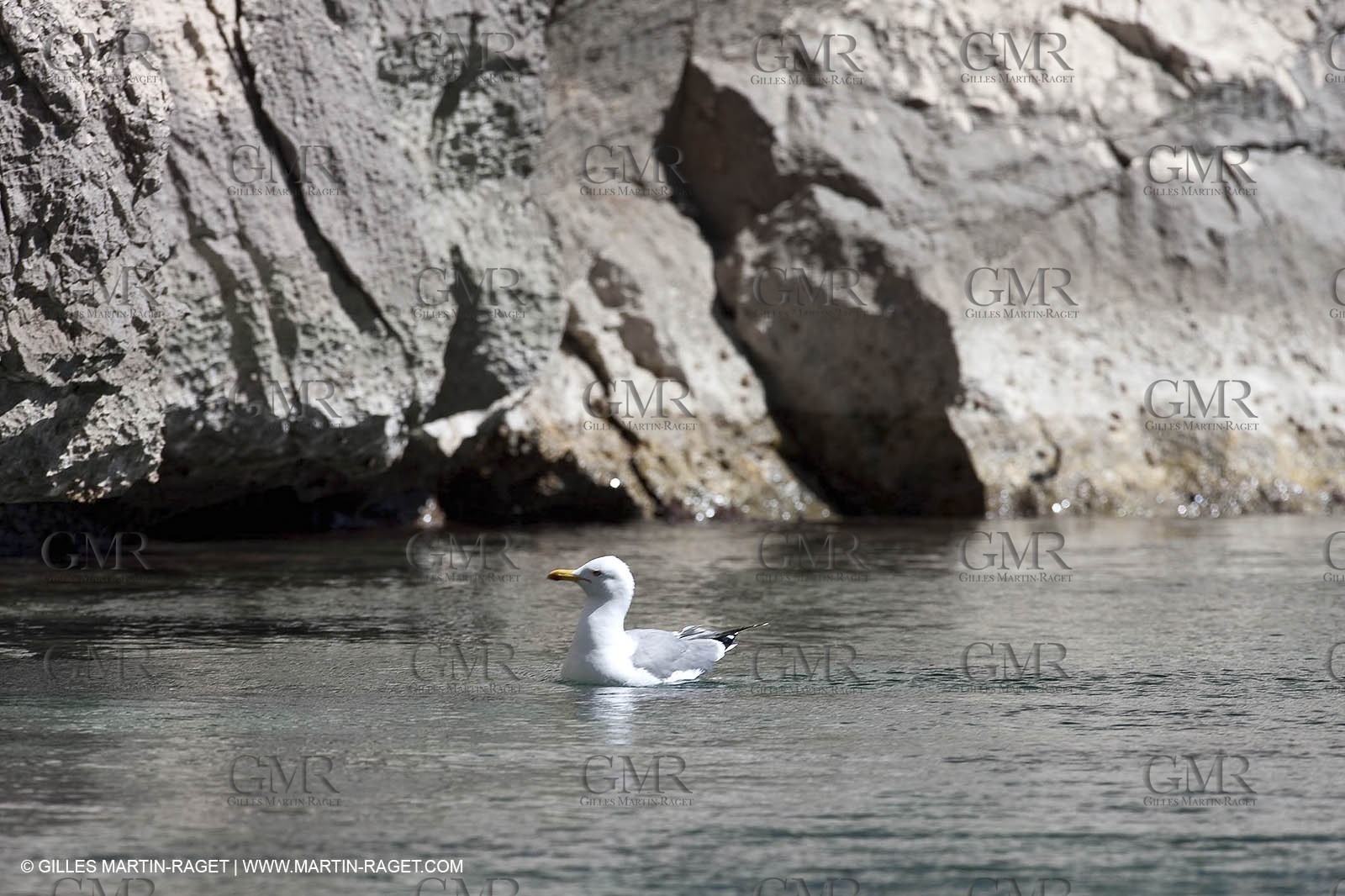26 03 2009 - Marseille (FRA, 13) - Les Calanques - Sugiton