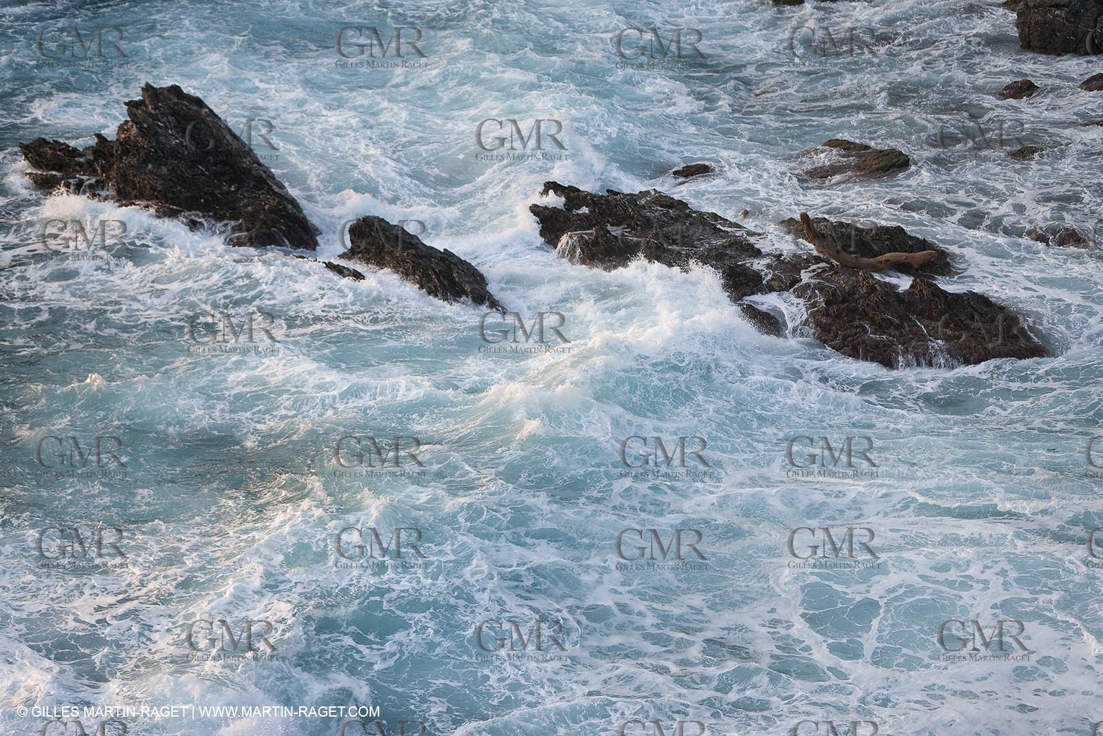 05 03.2009 - Porquerolles côte sud ouext(FRA, 83)