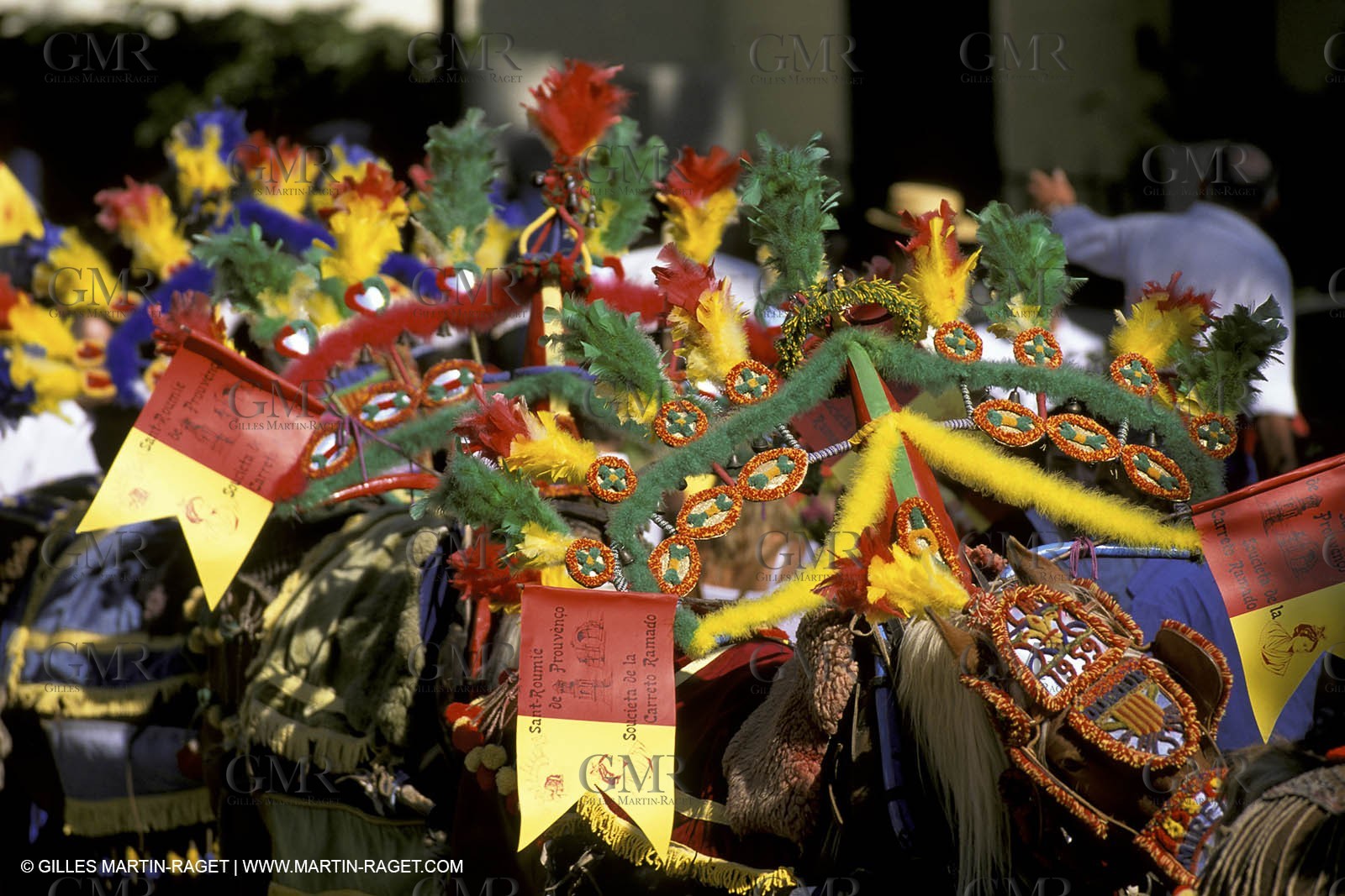 Saint Rémy de Provence - Fêtes de la careto ramado
