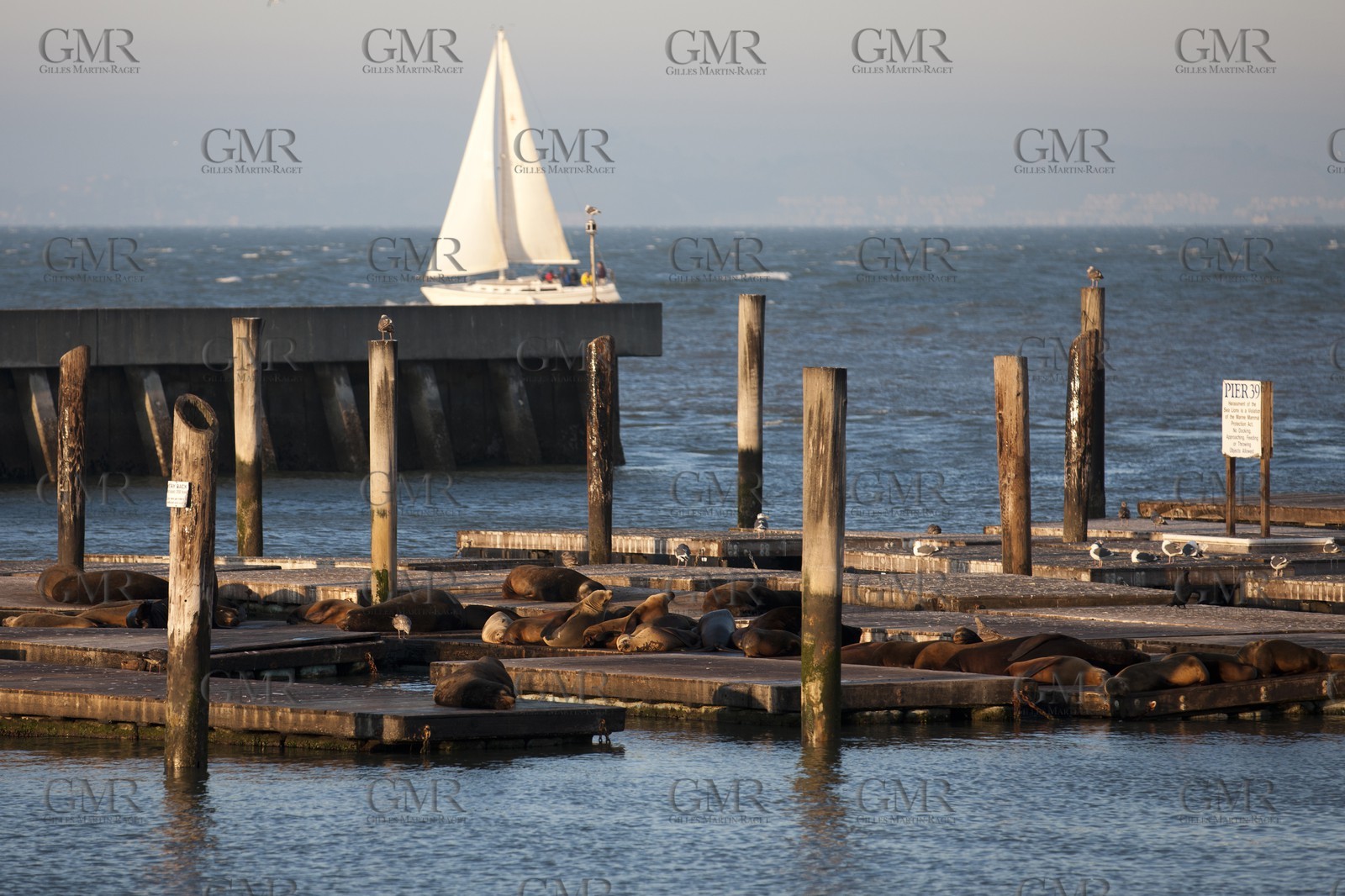 07 01 2011 - San Francisco (USA,CA) - Les Docks - Pier 39