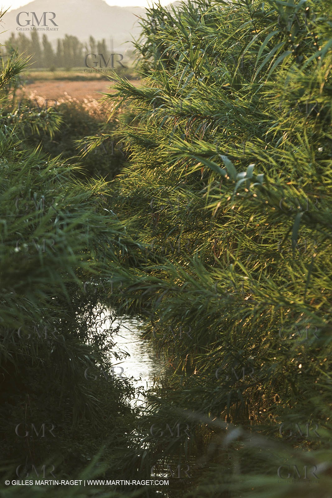 Paysages de Nîmes Métropole (FRA,30) - La Vaunage