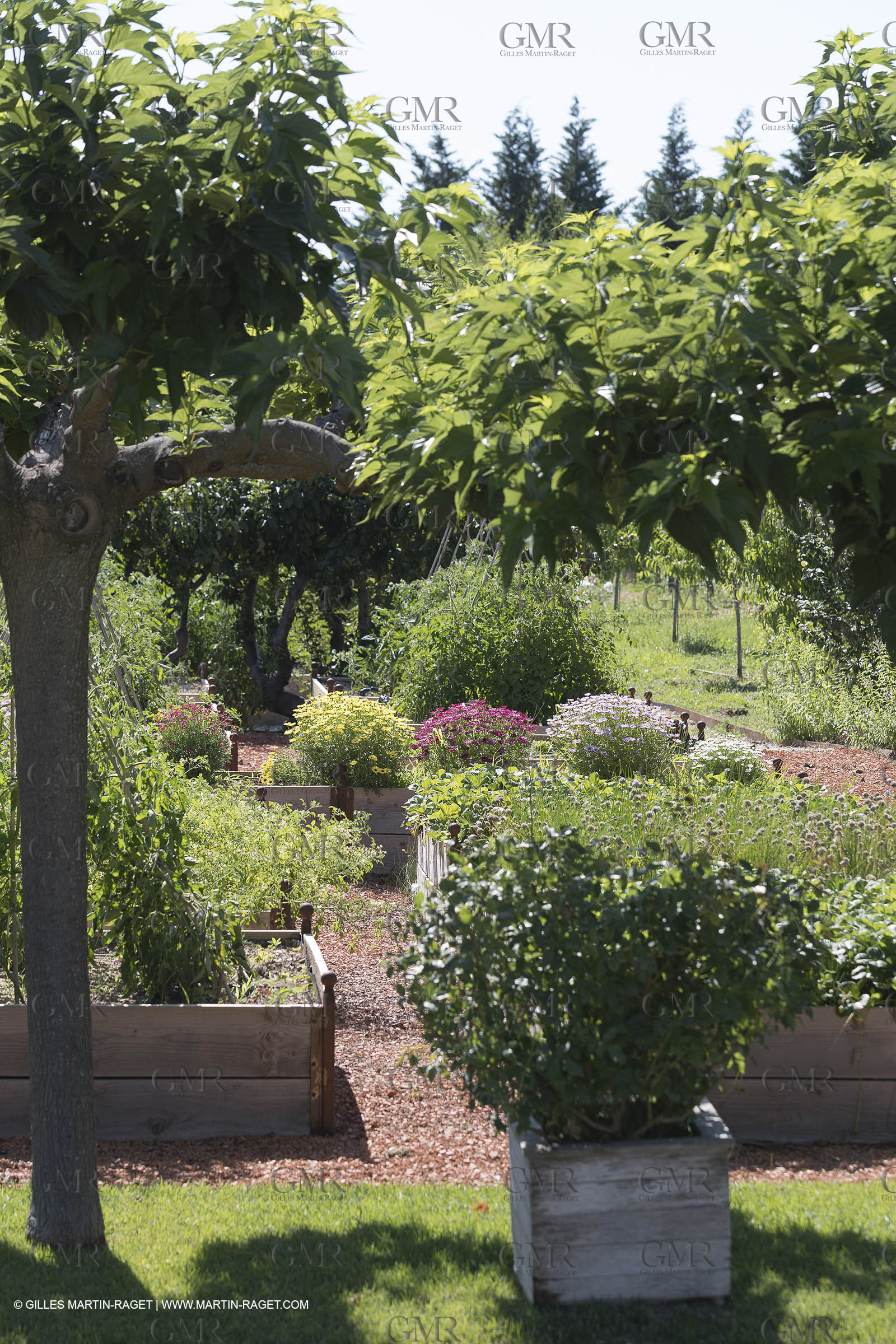 22 06 2018, Saint-Saturnin les Apts (FRA,84), Domaine des Andéols