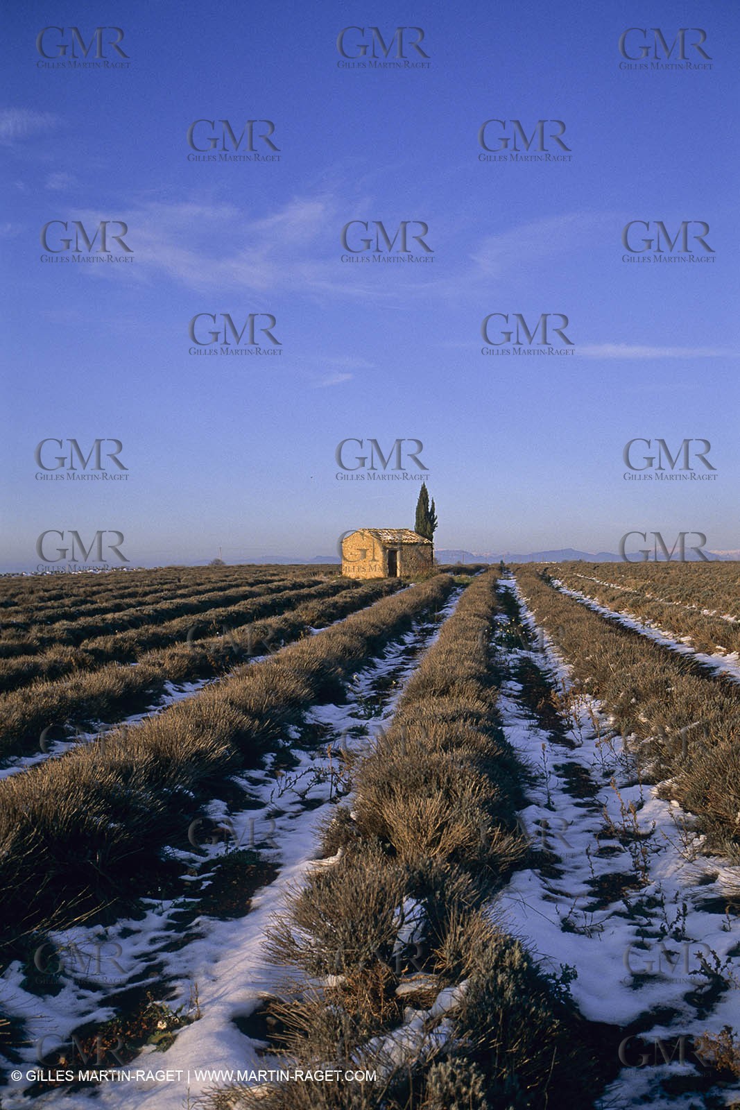 Provence under snow - Higher Provence - Valensole plateau