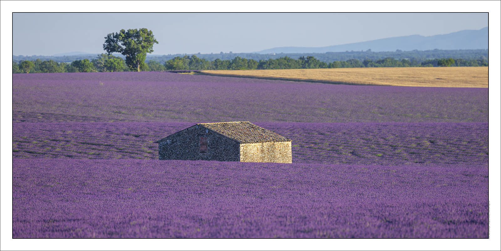 Product: in house made quality print on 8 ultrachome colors Epson ink Jet printer.Available sizes: . 50 x 100 cm. 100 x 200 cmAvailable papers: . Standard 250 gr glossy paper print, black streak, white margin, no signature. Top quality glossy 290 gr. paper, black streak, white margin, checked and signed by the author. Fine Art print (signed, numbered, stamped, registered) on demand. Other supports (Canvas, Acrylic, Metal) on demandPackaging: cylindric reinforced tubeShipping options: regular mail or Shipping companyClick on the basket icon to select your options and start the online ordering process